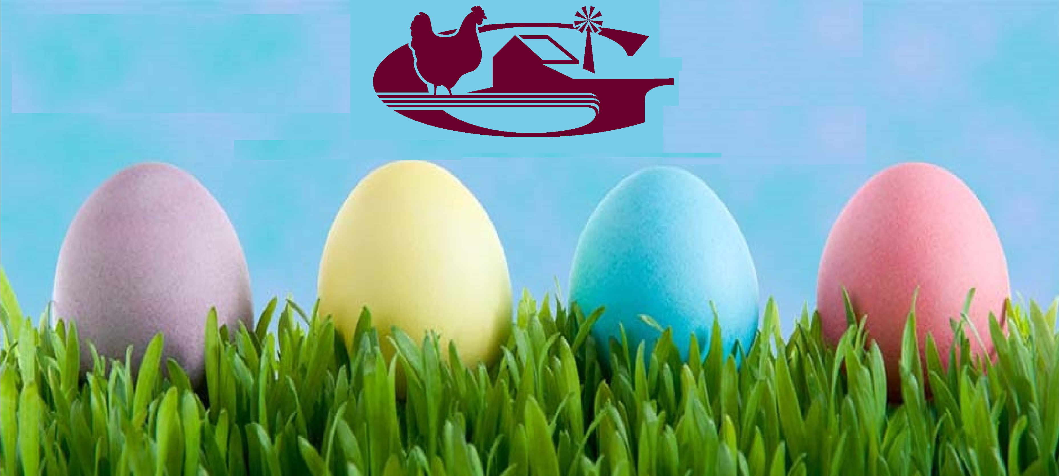 Egg hunt 2024 games. Easter Egg Hunt. Виртуальное пасхальное яйцо. Тысячелетнее пасхальное яйцо.